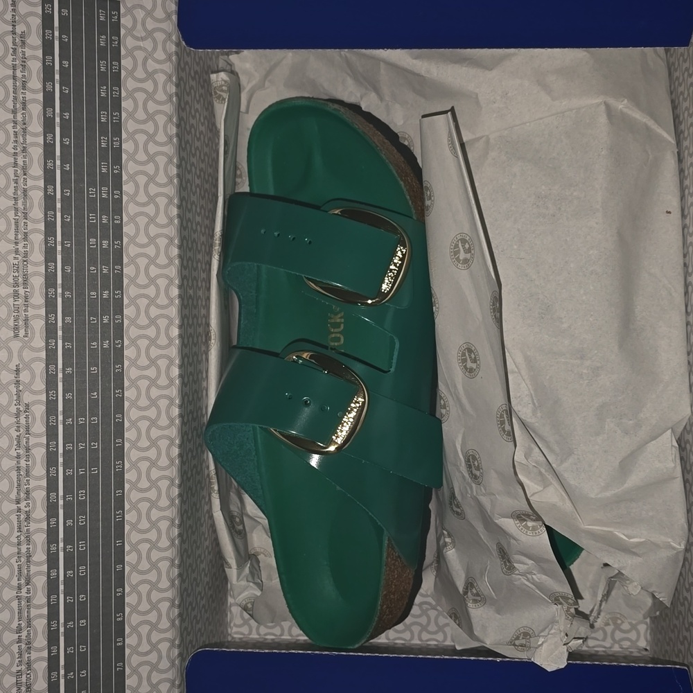 Birkenstock Arizona BIG Buckle, High Shine Digital Green, Size 39, Women's 8